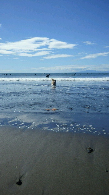 ファイル 3264-5.jpg