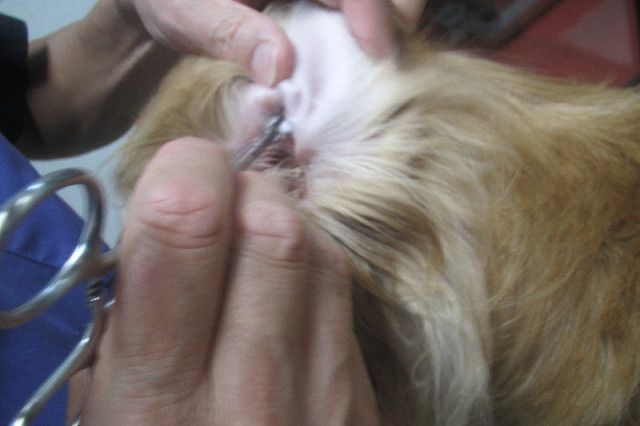 ファイル 3266-3.jpg