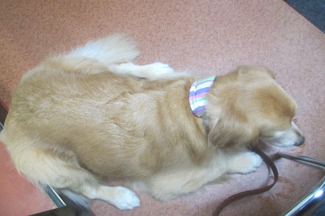 ファイル 3266-4.jpg