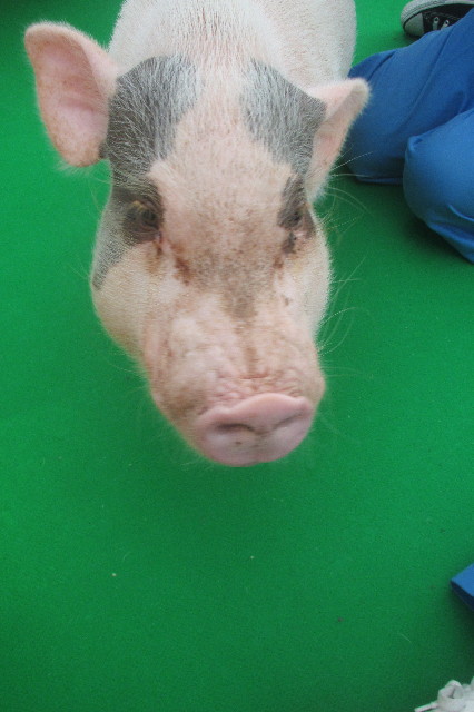 ファイル 3268-4.jpg