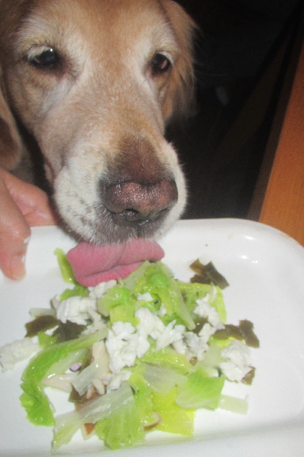 ファイル 3269-4.jpg