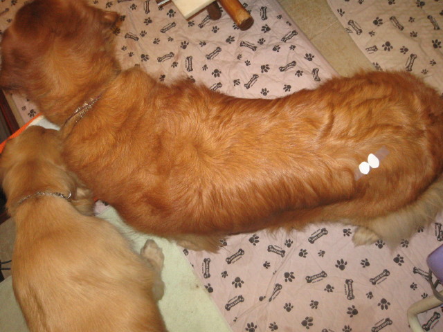 ファイル 327-1.jpg