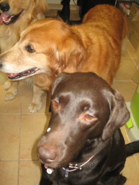 ファイル 327-4.jpg