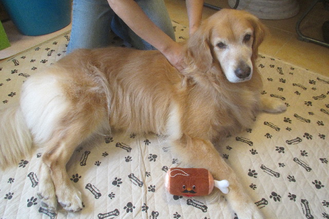 ファイル 3270-4.jpg