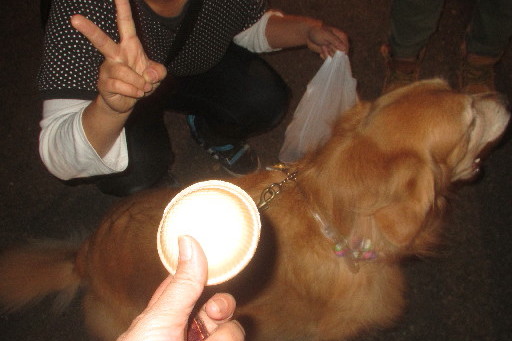 ファイル 3271-2.jpg