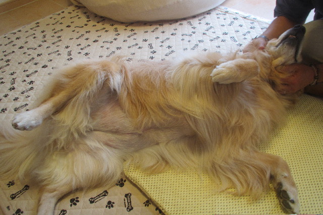 ファイル 3272-5.jpg