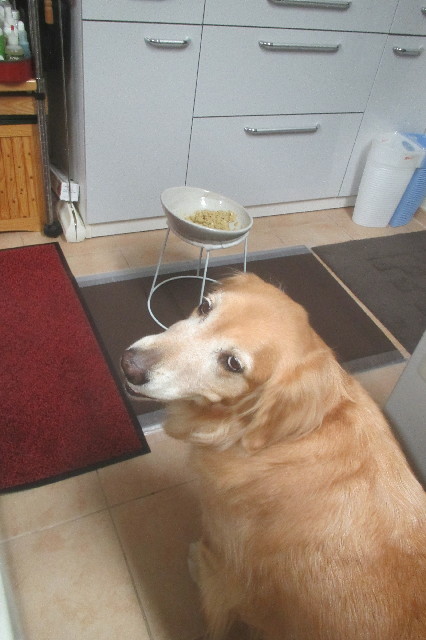 ファイル 3278-3.jpg