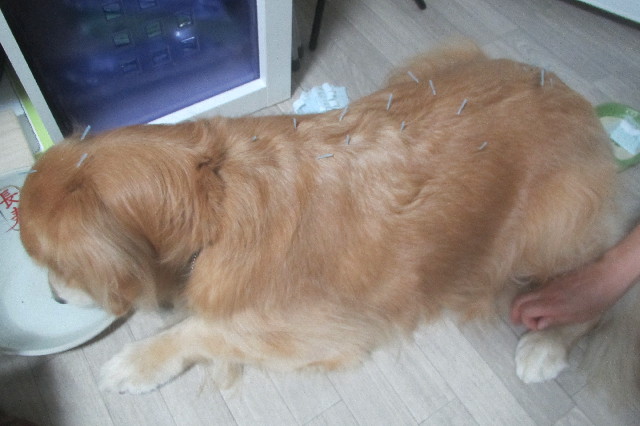 ファイル 3281-1.jpg