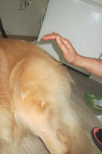 ファイル 3281-2.jpg