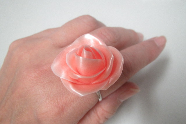 ファイル 3284-2.jpg