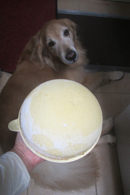 ファイル 3284-4.jpg