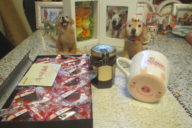 ファイル 3285-1.jpg