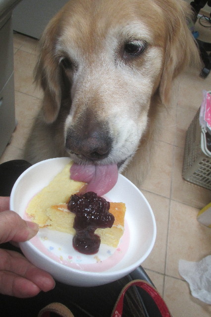 ファイル 3285-2.jpg