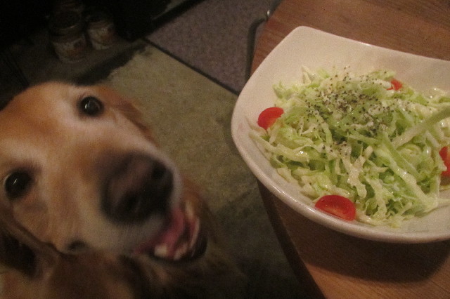 ファイル 3289-4.jpg