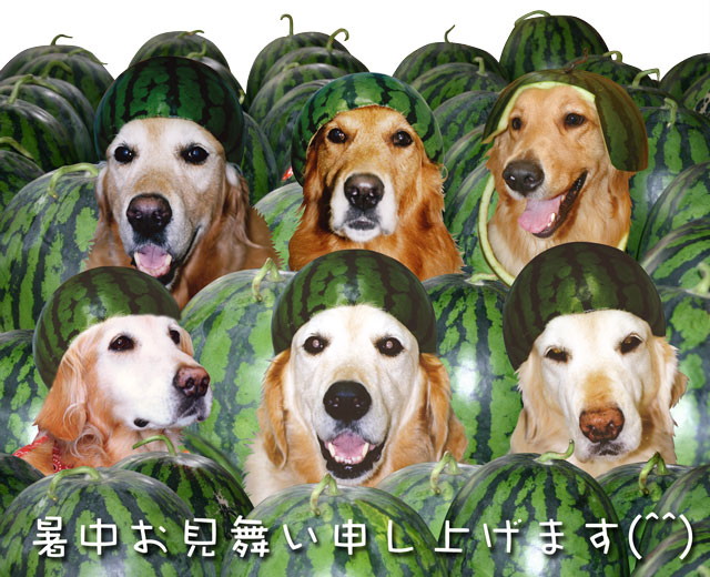 ファイル 329-1.jpg