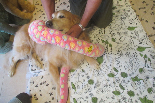 ファイル 3300-1.jpg