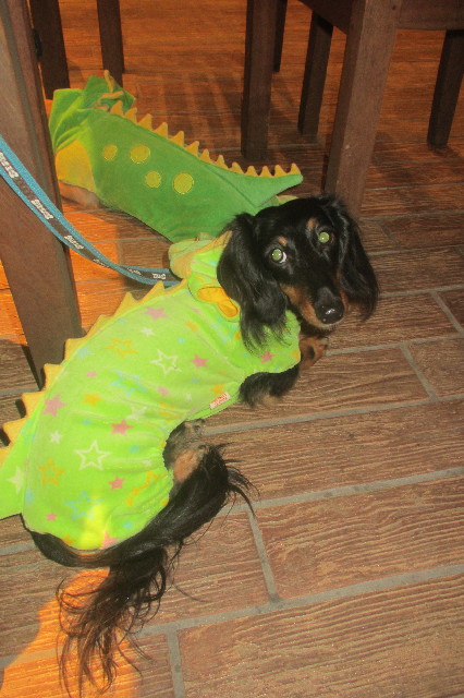 ファイル 3301-4.jpg