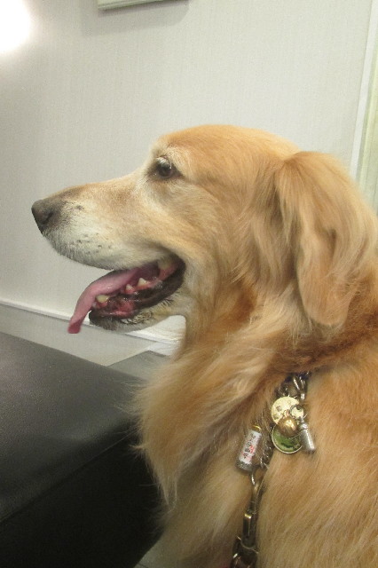 ファイル 3302-3.jpg