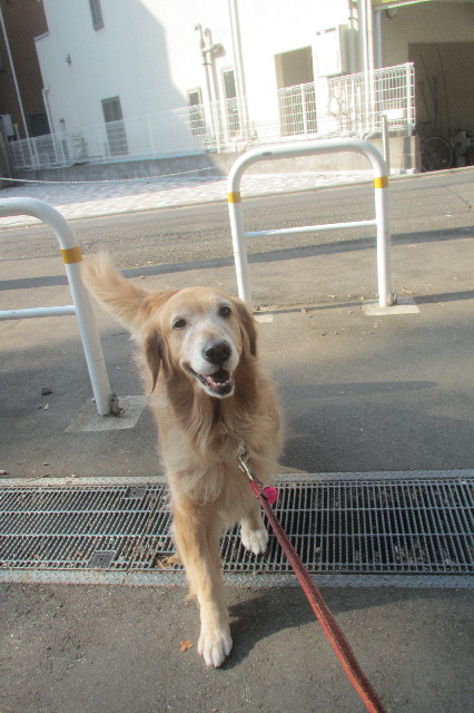 ファイル 3304-1.jpg