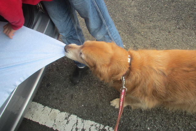 ファイル 3304-3.jpg