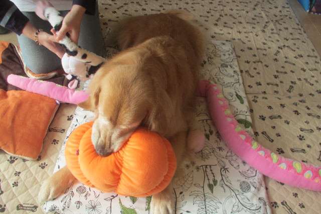 ファイル 3305-1.jpg