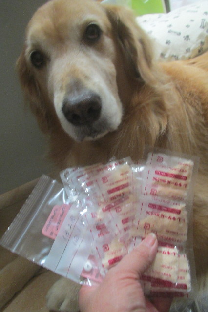 ファイル 3305-5.jpg