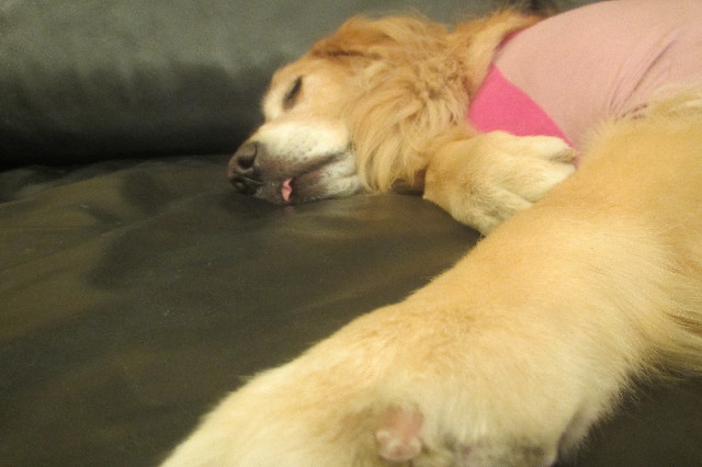 ファイル 3308-3.jpg