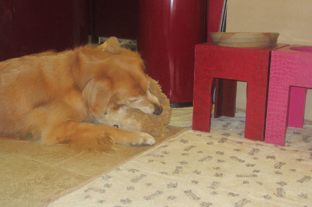 ファイル 3310-3.jpg