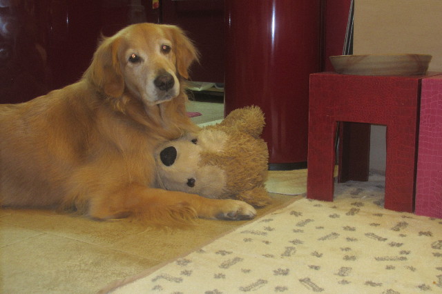 ファイル 3310-4.jpg