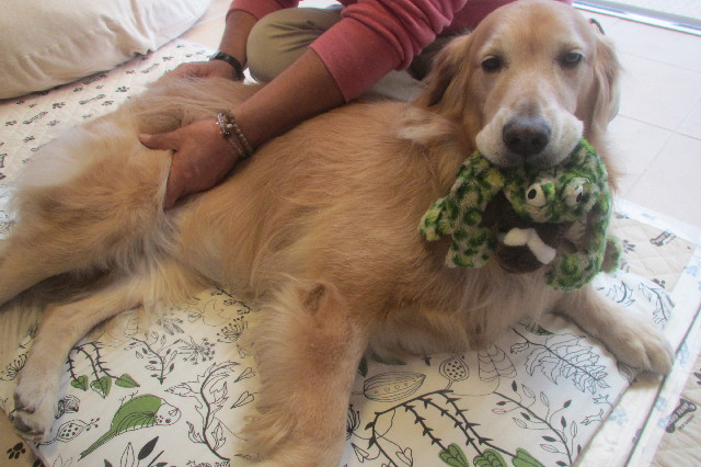 ファイル 3310-5.jpg