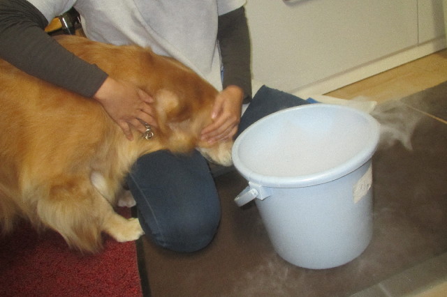 ファイル 3311-4.jpg