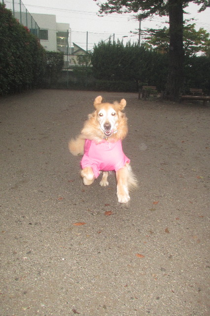 ファイル 3312-3.jpg