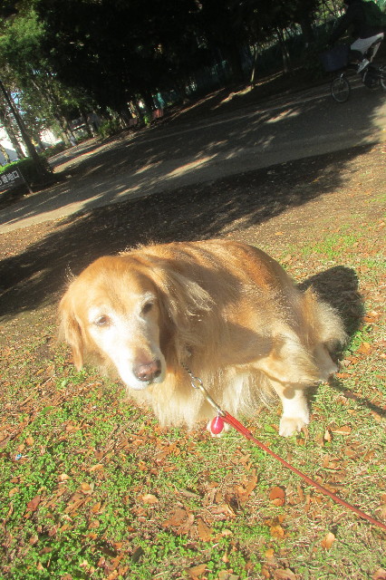 ファイル 3313-2.jpg