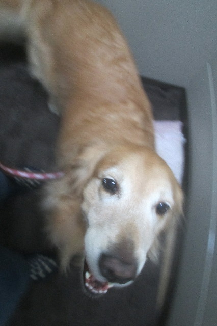 ファイル 3313-3.jpg