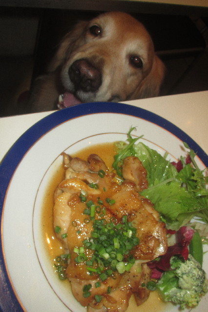 ファイル 3314-3.jpg