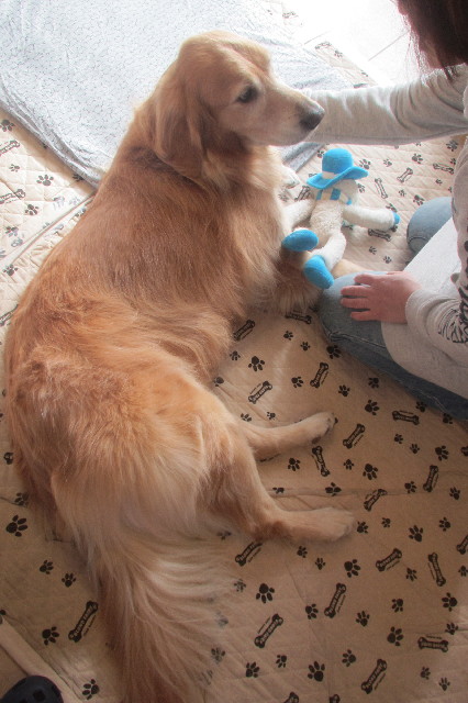 ファイル 3314-4.jpg