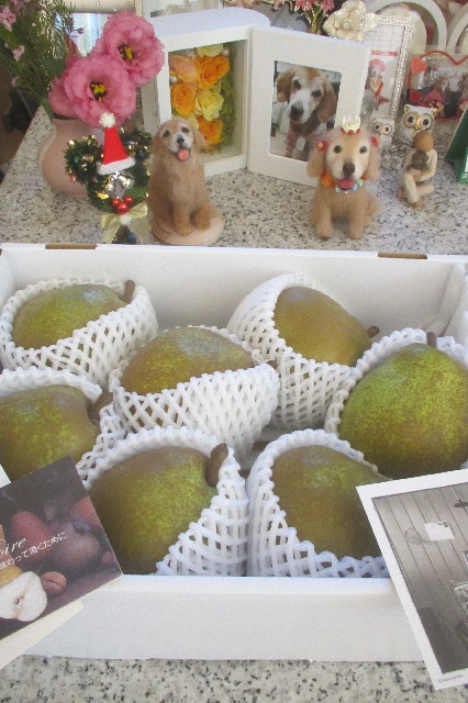 ファイル 3315-1.jpg