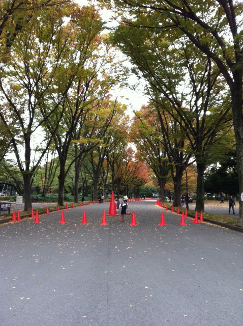 ファイル 3317-1.jpg