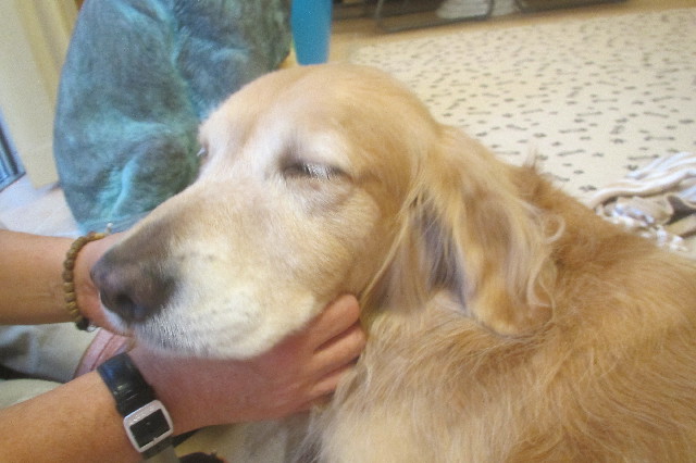 ファイル 3318-1.jpg