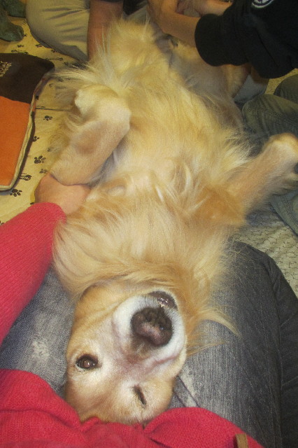 ファイル 3318-3.jpg