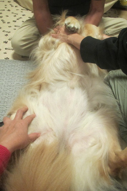 ファイル 3318-4.jpg