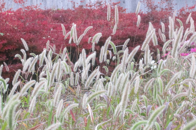 ファイル 3319-2.jpg