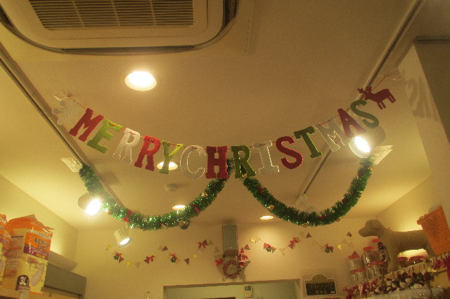 ファイル 3319-3.jpg