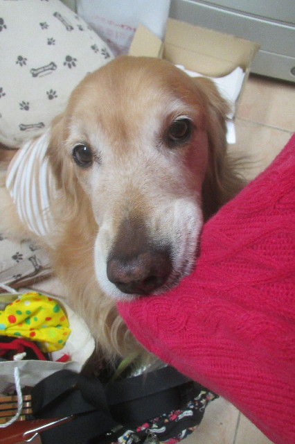 ファイル 3319-4.jpg