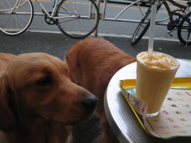 ファイル 332-1.jpg