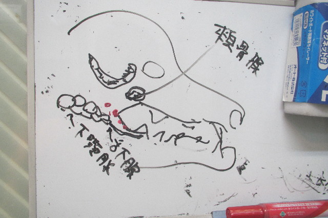 ファイル 3320-3.jpg