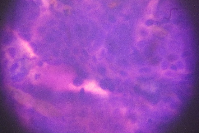 ファイル 3320-5.jpg