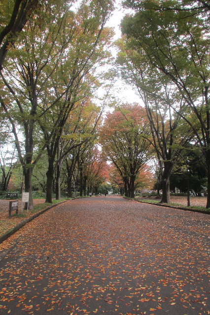 ファイル 3321-3.jpg