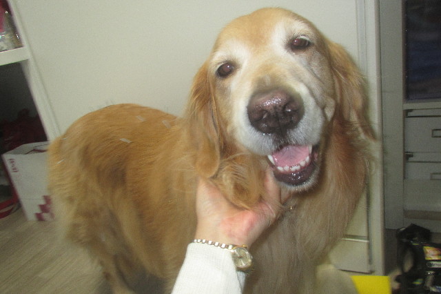 ファイル 3322-4.jpg