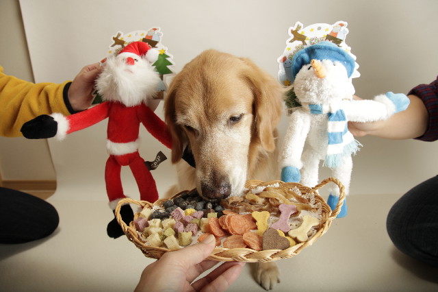 ファイル 3325-1.jpg